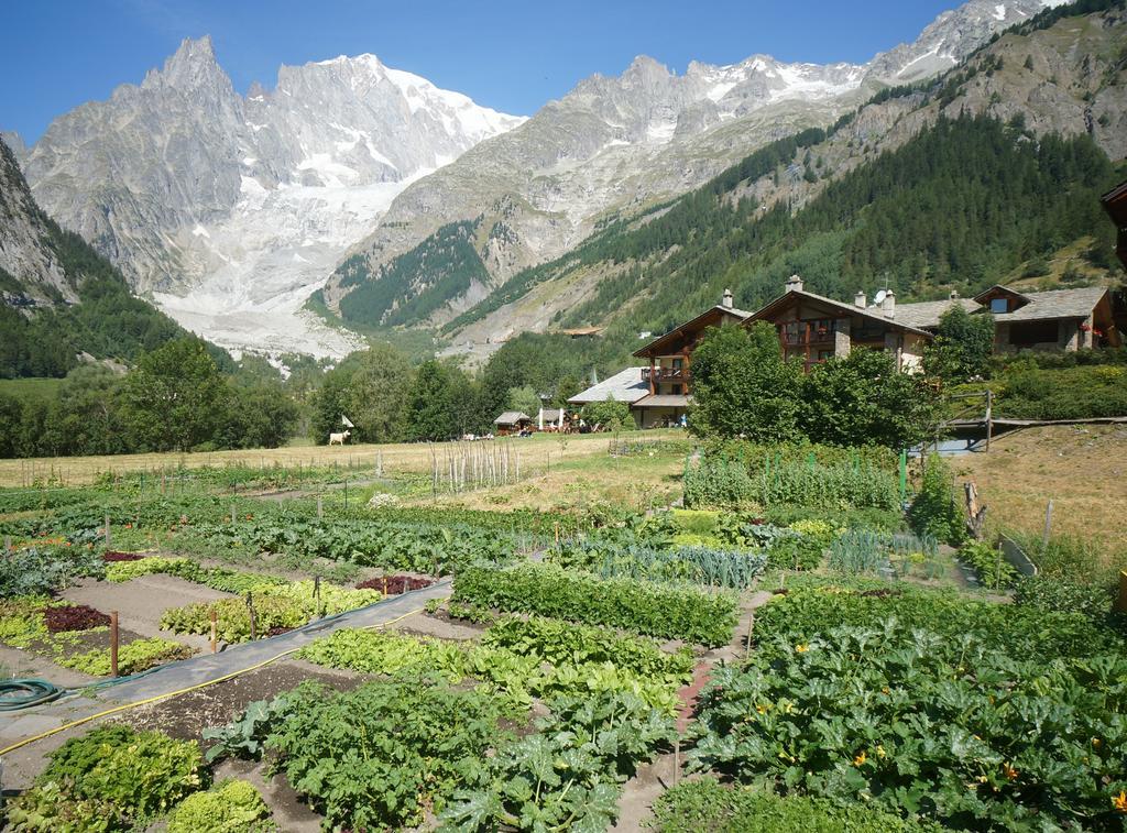 Hotel Aiguille Noire Courmayeur Eksteriør bilde